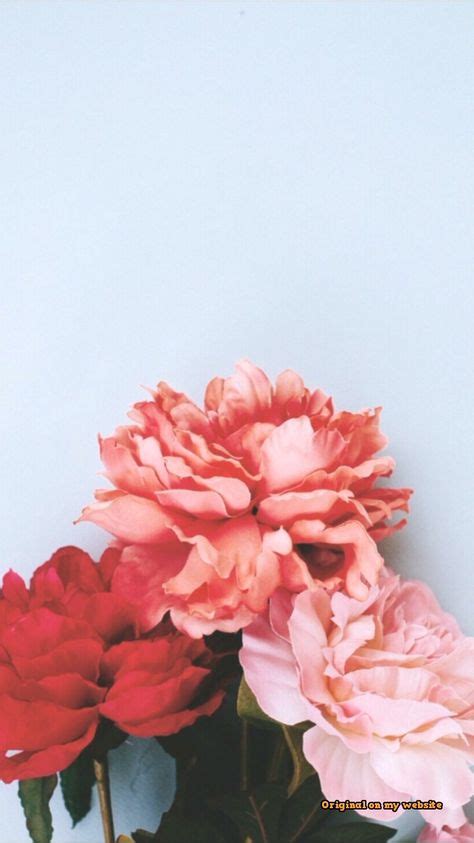 50 best ideas lock screen wallpapers pink flowers