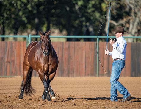 Clinton Anderson (horse trainer) - Alchetron, the free social encyclopedia