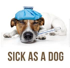 Idiom > (as) sick as a dog – Запоріжжя English Club