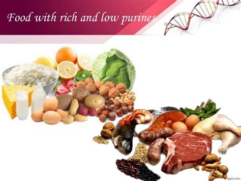 NUCLEIC ACIDS: THE RNA