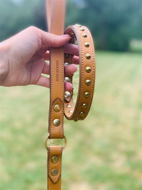 Luxury Dog Collar in High Quality Tan Vegetan Leather and Dome - Etsy