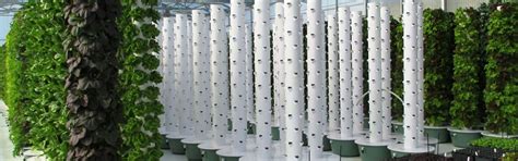 Vertical aeroponic growing technology from Tower Farms allows you to produce more food, faster ...