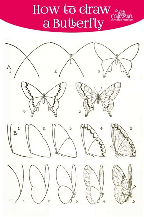 40 Beautiful Simple Butterfly Drawings In Pencil - Hobby Lesson