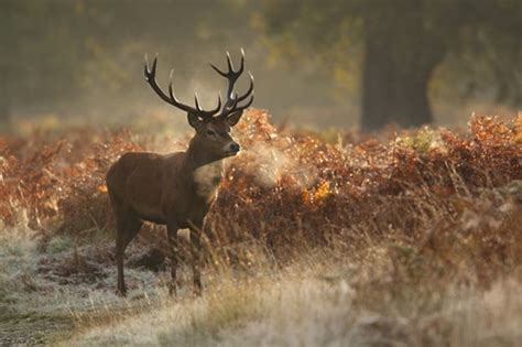 Autumn photography: capturing the season's colours - Photography Blog | Ripe Insurance