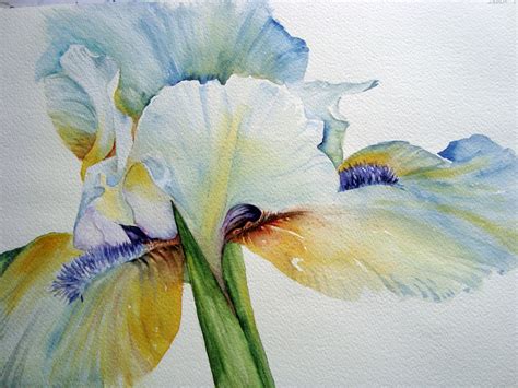 Watercolour Florals: June 2012