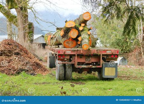 Load of Lumber on Truck Trailer Stock Image - Image of delivery, transport: 134540327