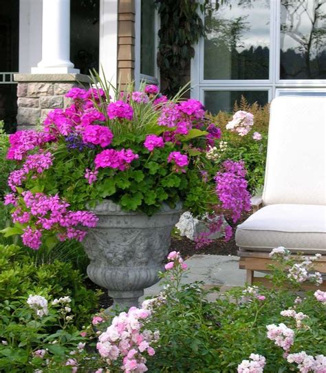 Pin by Sherry Oyer Yoder on FLOWERS - GARDENS / CONTAINERS - PERENNIALS ...