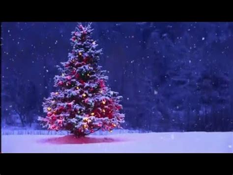 12 Hour Beautiful Christmas Lullaby • Soft Instrumental Christmas Music • Music Box • Baby Sleep ...