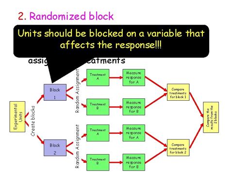 Completely Randomized Design