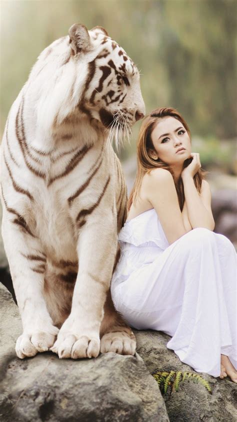 86 White Tiger Hd Wallpaper 4k Images & Pictures - MyWeb