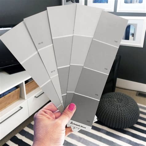 How to Choose the Perfect Gray Paint for YOUR Home | Perfect grey paint, Grey paint, Paint swatches