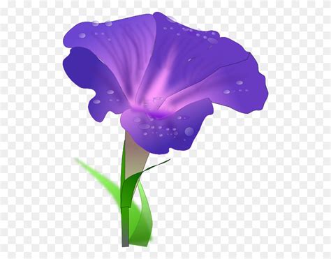 Morning Glory Flower Png, Clip Art For Web - Violet Flower Clipart - FlyClipart