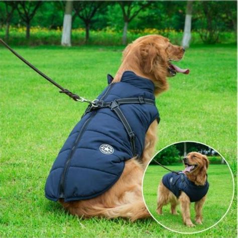 Waterproof Winter Dog Jacket with Built-in Harness - Lulunami