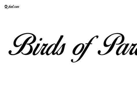 Birds of Paradise Font - Free Font Download