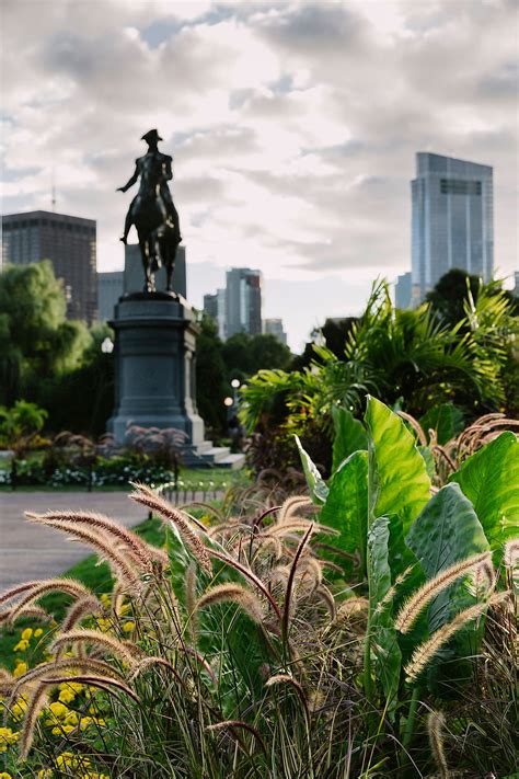 "Boston Public Garden In Early Autumn Season" by Stocksy Contributor ...