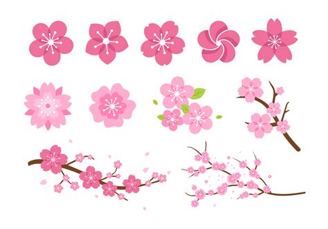 Pink Flower Blossom Vectors 163730 Vector Art at Vecteezy