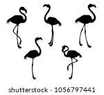 Flamingo Clipart Free Stock Photo - Public Domain Pictures