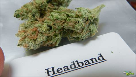 Headband Marijuana Strain (Review)