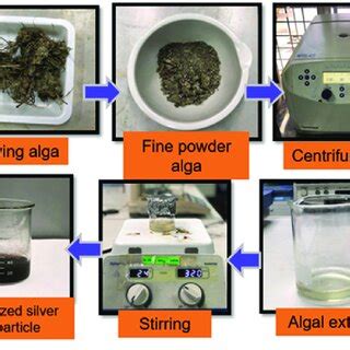 The overview of synthesis silver nanoparticles. | Download Scientific Diagram