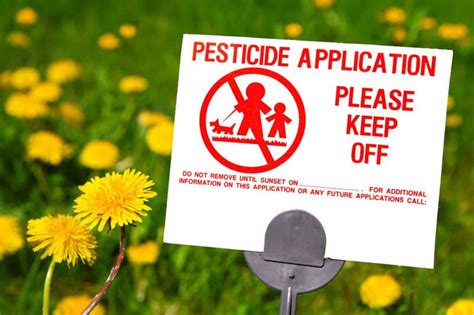 How to Transition Your Lawn Off Chemical Fertilizers and Pesticides ...