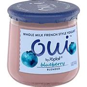 Yoplait Oui Blueberry French Style Yogurt - Shop Yogurt at H-E-B