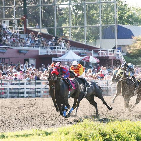 New Langley horse racing track proposed to replace Hastings Racecourse ...