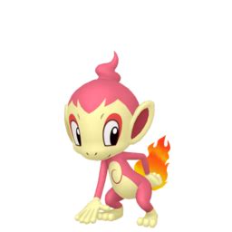 Chimchar sprites gallery | Pokémon Database