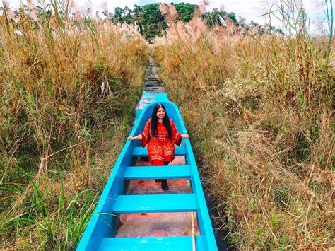 Keibul Lamjao National Park Manipur - How To Visit The World’s Only Floating National Park ...