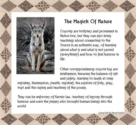 Magick Of Nature - Coyote | Animal spirit guides, Coyote symbolism ...