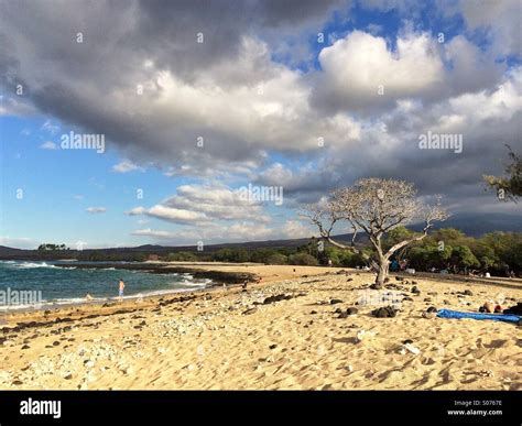 Family vacation on a beach in Hawaii Stock Photo - Alamy