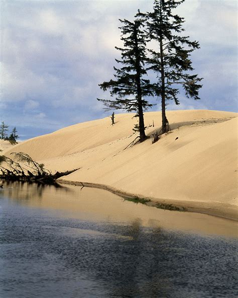 Sand Dunes Spinreel Campground Oregon Coast photo