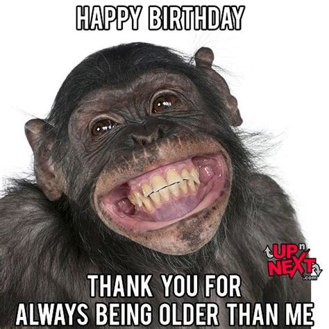 Funny Happy Birthday Monkey Meme - Funny Memes Mania