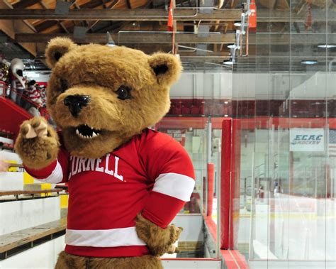 Big Red Bear | Cornell's mascot, "chillin" at a hockey game.… | Michael King | Flickr