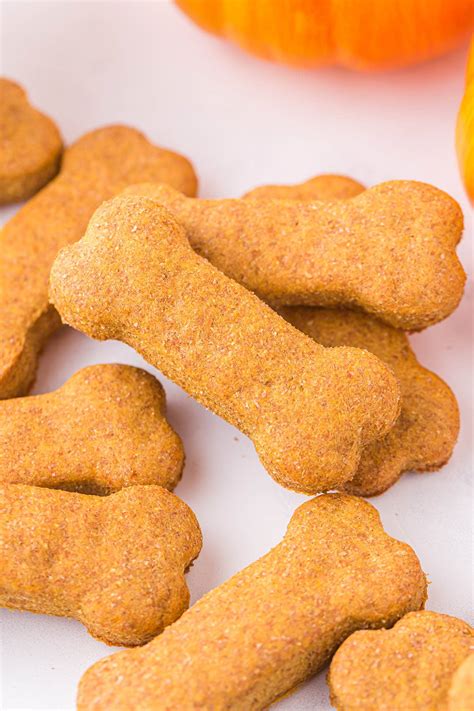 Easy Dog Biscuit Recipe Without Pumpkin | Dandk Organizer