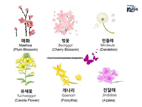 Pin de Sammie en 한국어 | Palabras coreanas, Significado de las flores ...