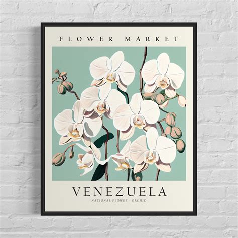 Venezuela Flower Market Art Print, Venezuela Flower, Orchid Wall Art ...