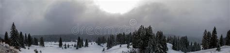 Panorama of the Igman Mountain Stock Image - Image of landmark, nature: 112343977