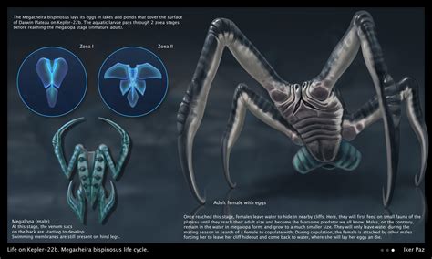 ArtStation - Life on Kepler-22b. Megacheira bispinosus life cycle.