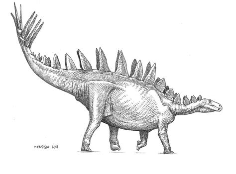 Tuojiangosaurus by pheaston on DeviantArt