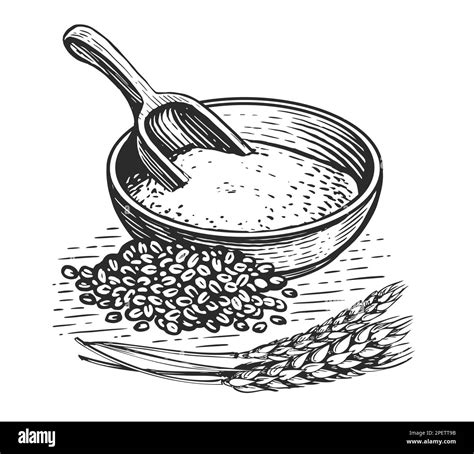 Ears and grains of wheat Black and White Stock Photos & Images - Alamy