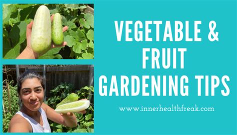 VEGETABLE AND FRUIT GARDENING TIPS – Inner Health Freak