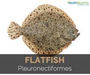 Flatfish Facts, Health Benefits and Nutritional Value