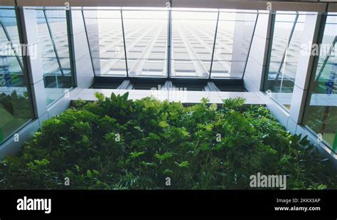 Glass atrium plants Stock Videos & Footage - HD and 4K Video Clips - Alamy