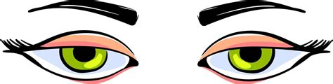 Green eyes, illustration, vector on white background. 13766845 Vector ...