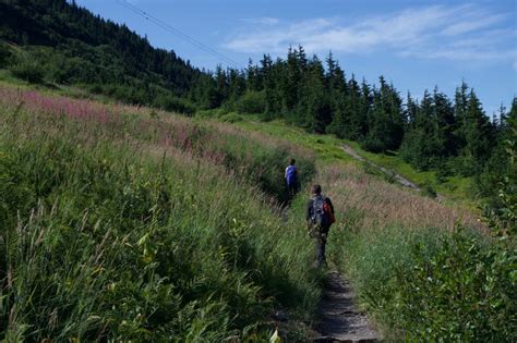 North Face Hiking Trail Hiking Trail, Girdwood, Alaska