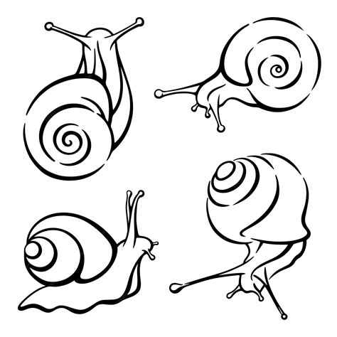 Premium Vector | Set of vector black and white illustrations of snails