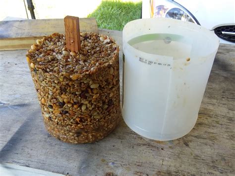 How To Make Your Own Seed Cylinders and Cakes For Your Bird Feeders