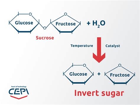 Invert Sugar Recipe | Dandk Organizer