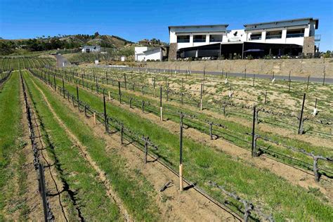 New Altisima Winery shows off its Temecula Valley views – Press Enterprise