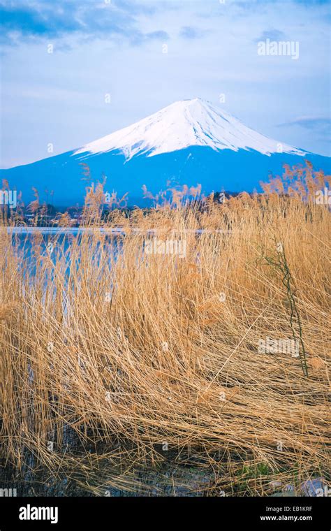 The beautiful mount Fuji in Japan at sunrise Stock Photo - Alamy